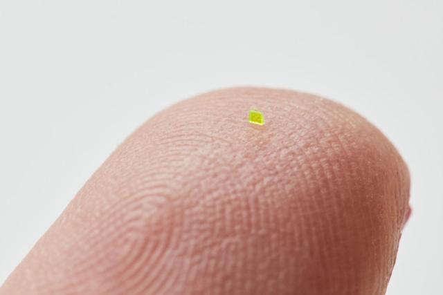 The world's smallest bag, tiny as a grain of salt, was sold for ₦‎47  million