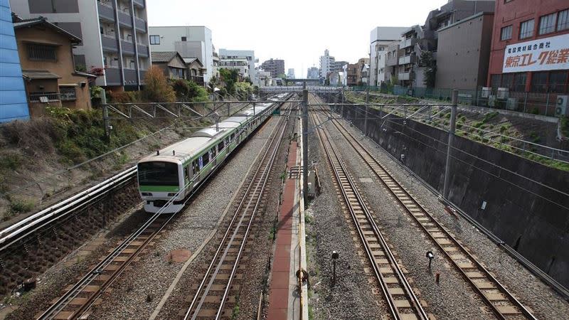 日本JR山手線上驚見蛇出沒，2700多人的通勤受到影響。（示意圖／翻攝自Pixabay）