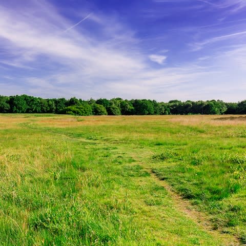 Wimbledon Common - Credit: istock