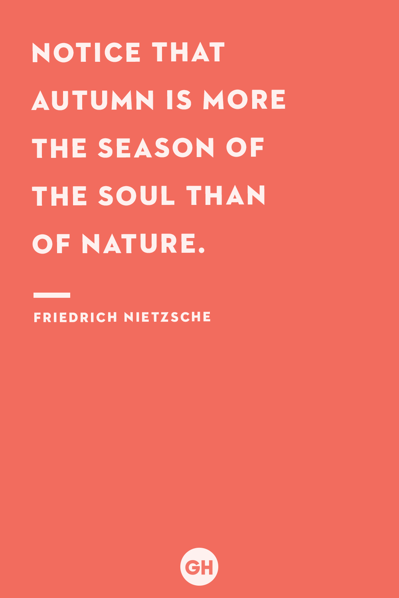 41) Friedrich Nietzsche