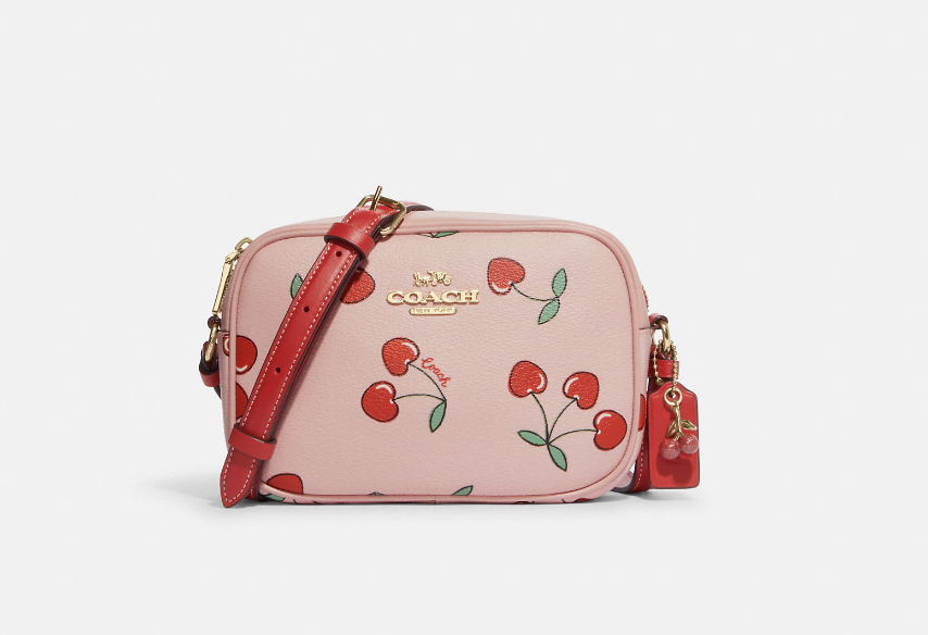 Mini Jamie Camera Bag in heart cherry print (Photo via Coach Outlet)