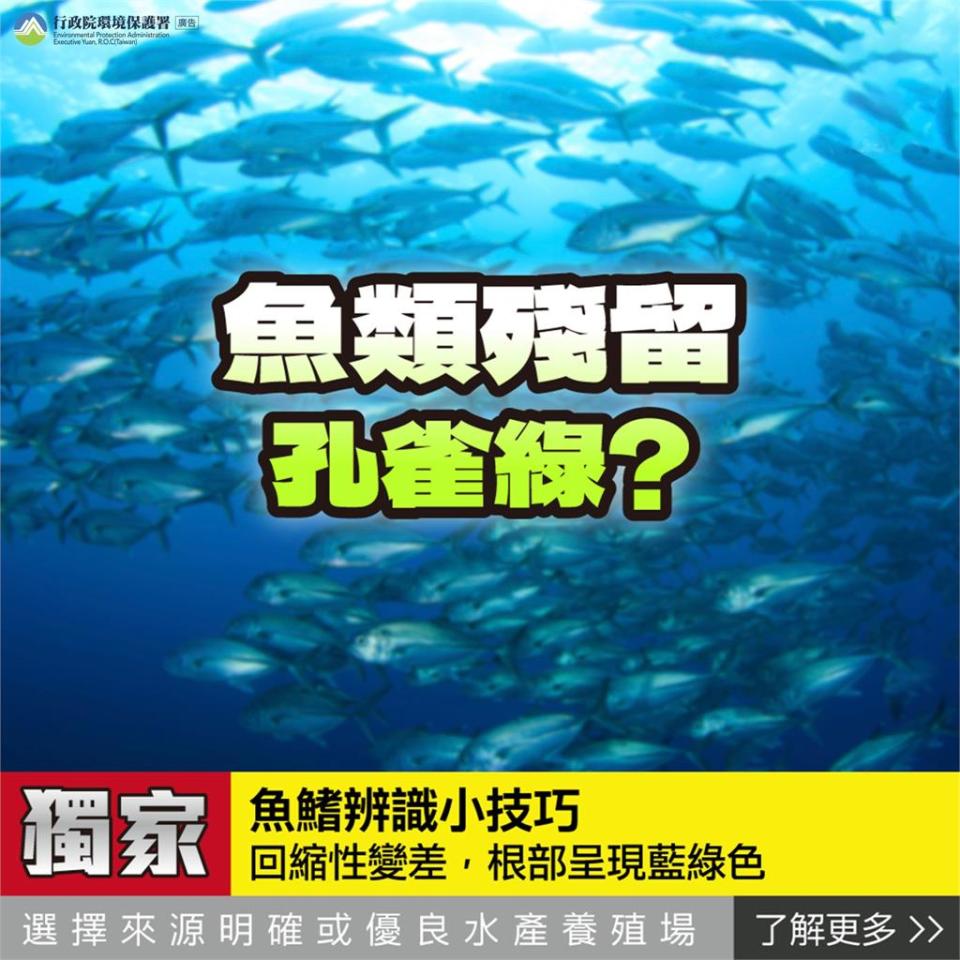 大啖海鮮怕把「孔雀綠」吃下肚？專家曝「一招辨認毒海產」