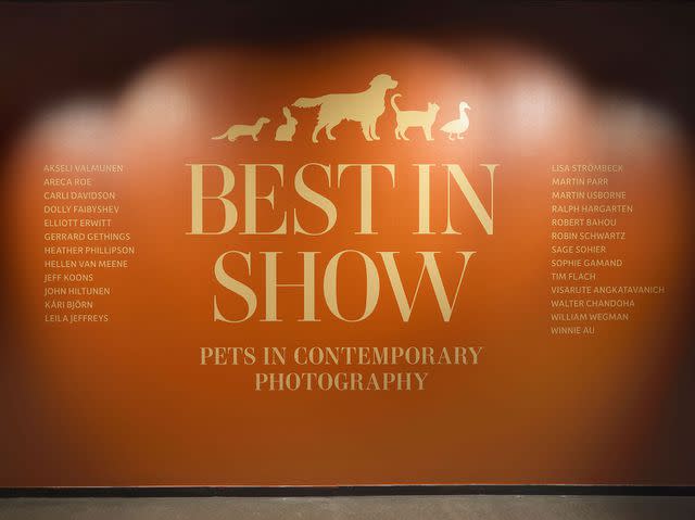 <p>Dario Lasagni, Courtesy of Fotografiska New York</p> The "Best in Show" exhibit at Fotografiska New York