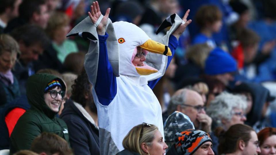 Brighton fans at the Amex Stadium