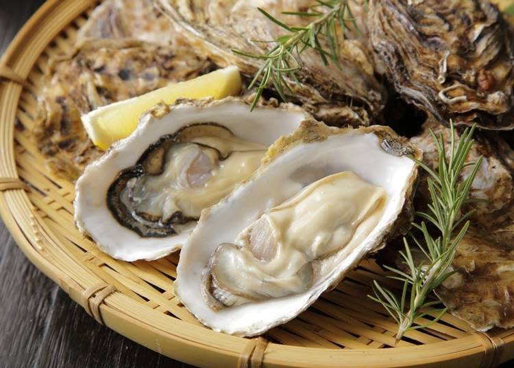 Oysters