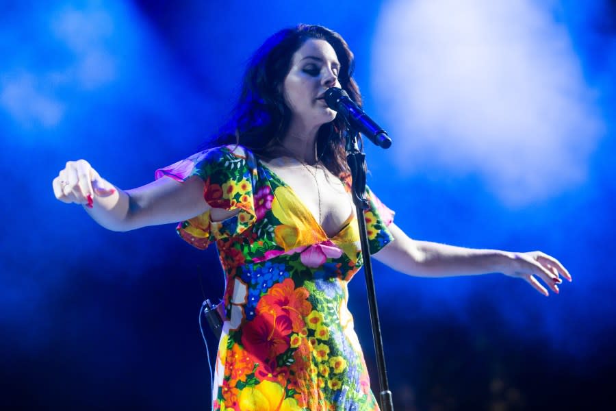 INDIO, CA – APRIL 20: Singer Lana Del Rey performs at the Coachella valley music and arts festival at The Empire Polo Club on April 20, 2014 in Indio, California. (Photo by Chelsea Lauren/WireImage)