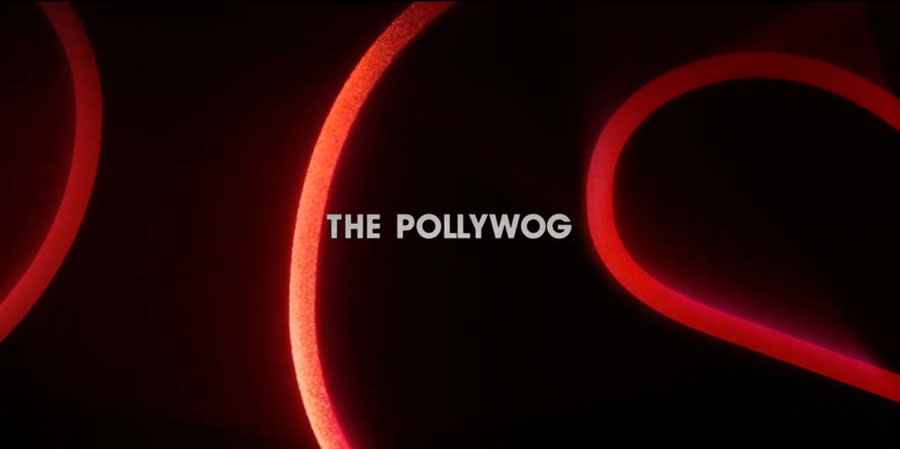 pollywog