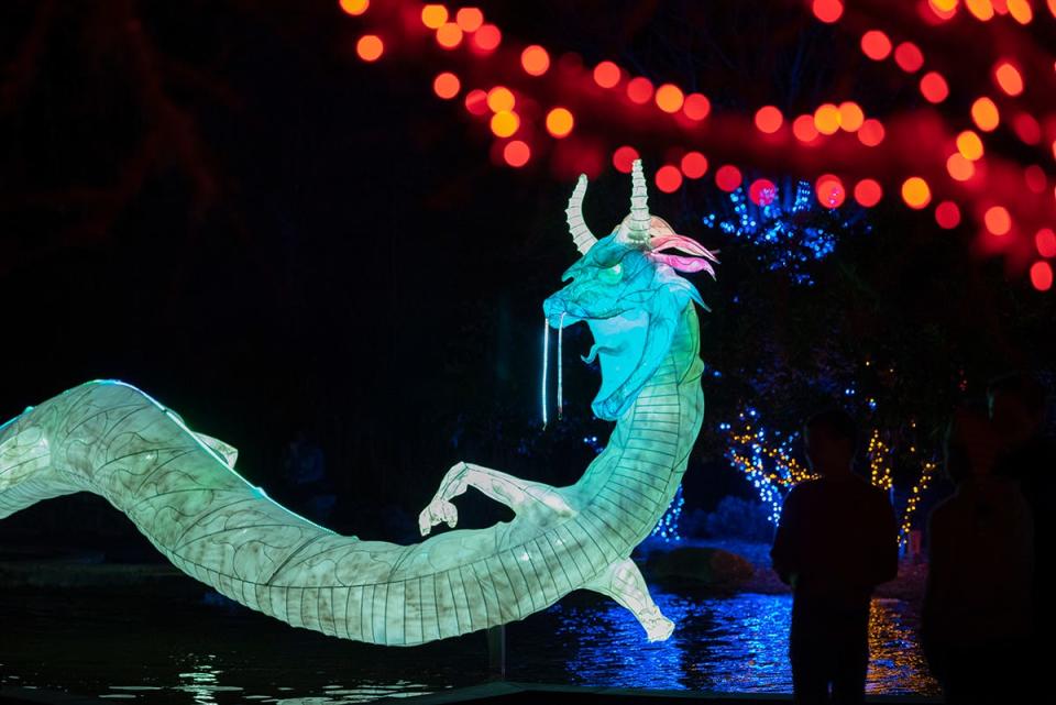 Jacksonville Zoo and Gardens is transforming its holiday ZOOLights into an after-hours Asian lantern festival.