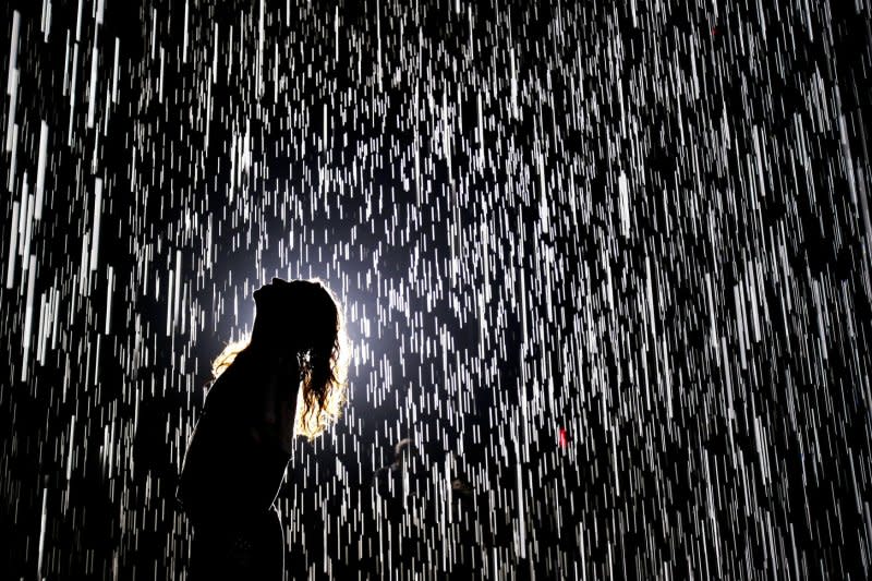 Visitors spend time in the Random International's immersive environment "Rain Room" installation at the Museum of Modern Art. On November 7, 1929, the MoMa opened to the public at its first location in the Heckscher Building on Fifth Avenue. File Photo by John Angelillo/UPI