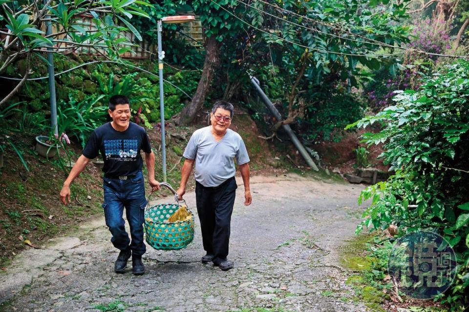 每到柚子採收季節，林東村（右）與林堃榤（左）父子協力採果，免費提供給餐廳客人。