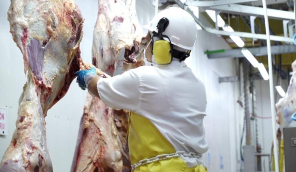 Colombia logra histórica aprobación para exportar carne bovina a China. Imagen: Cortesía Fedegan.