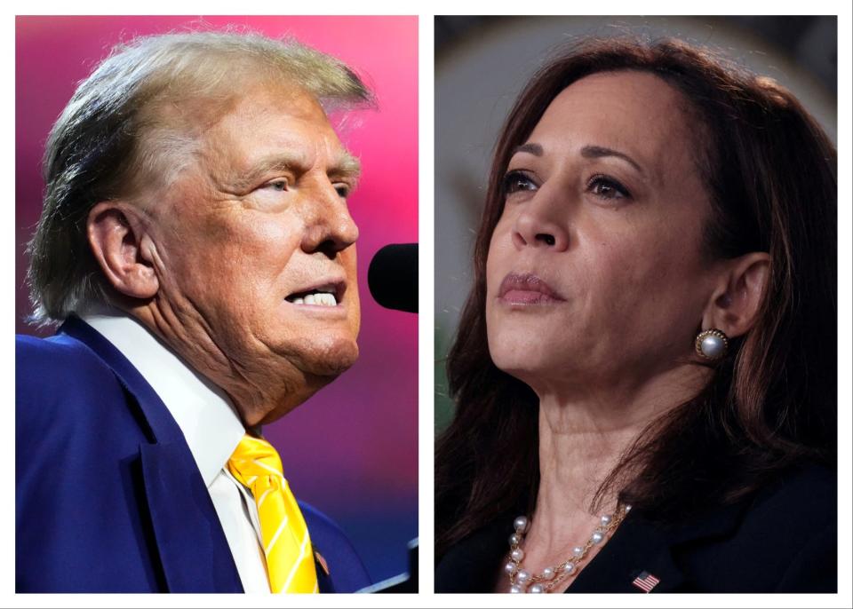 Donald Trump and Kamala Harris will face off in the 2024 presidential election on Nov. 5.
