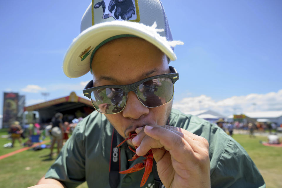 Rashad Banks sucks the head of a boiled crawfish from one of the many food vendors at the New Orleans Jazz and Heritage Festival in New Orleans, Thursday, April 25, 2024. (AP Photo/Matthew Hinton)