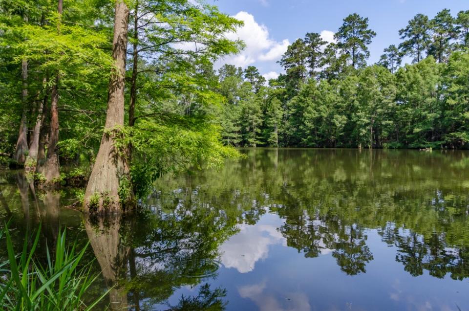 A pond in the Stahl Preserve along the Spring Creek Greenway Trail via Getty Images