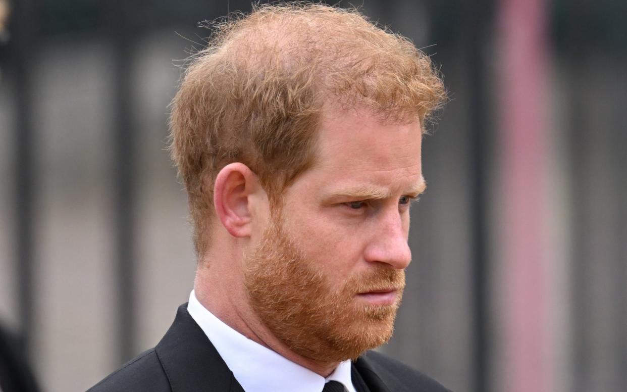 The Duke of Sussex - Karwai Tang/WireImage