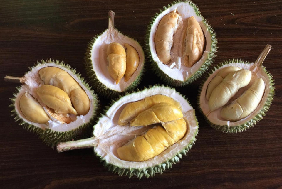 These five durians, the Bamboo (Left), D13 (Centre Left), Ang Hae (Centre Right), Jin Feng (Right) and Mao Shan Wang (Front), are among the most popular durians in Singapore. The Bamboo has a light flavour while the Mao Shan Wang has a strong taste (Mao Shan Wang).  (Photo by: Resorts World Sentosa)