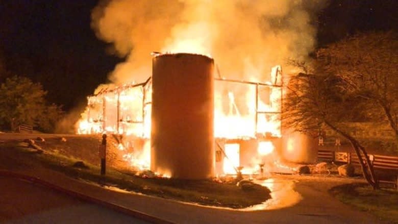 16 horses dead, 13 others rescued after barn fire at Toronto's Sunnybrook Stables