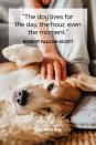 <p>“The dog lives for the day, the hour, even the moment.” </p>