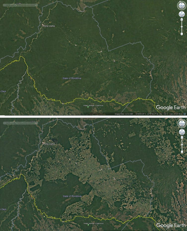 <span class="caption">Deforestation around roads in Rondonia, Brazil, 1984-2016.</span> <span class="attribution"><span class="source">Google Earth</span></span>