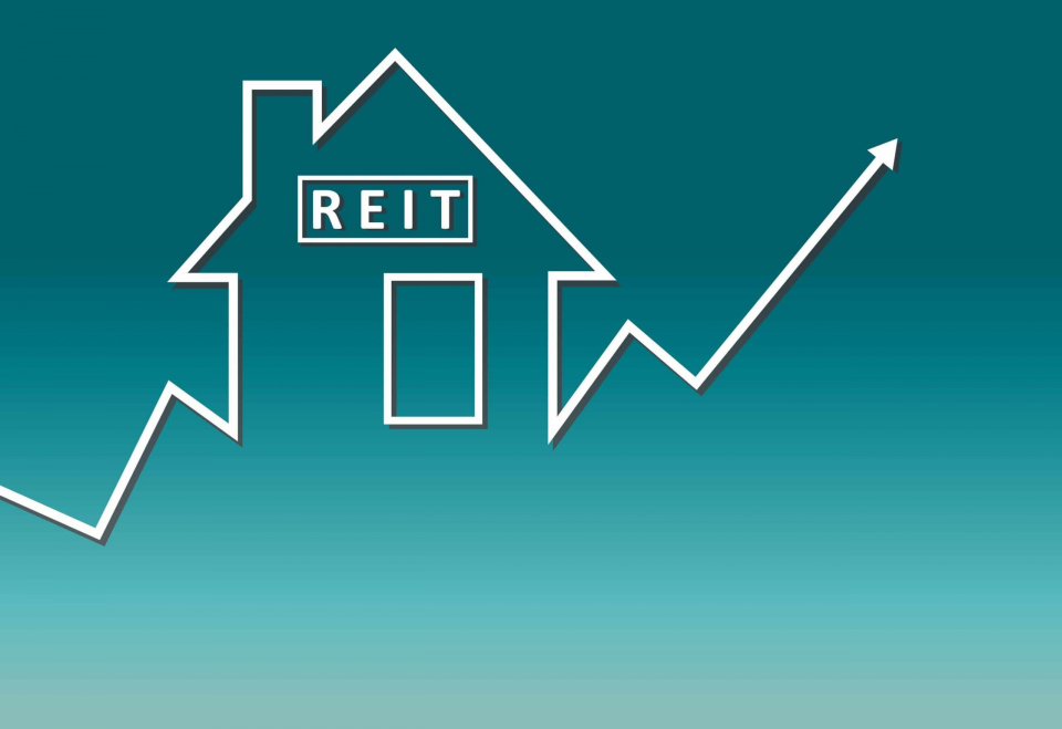 Dividendos, Inversiones, REIT 