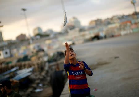 A Palestinian boy throws a freshly caught fish as he works with fishermen at the seaport of Gaza City September 26, 2016. REUTERS/Mohammed Salem