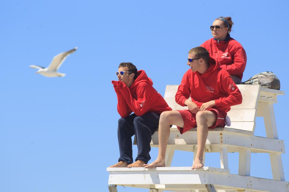 Von wegen Hai-Alarm! Schlange überrascht Rettungsschwimmer am Strand