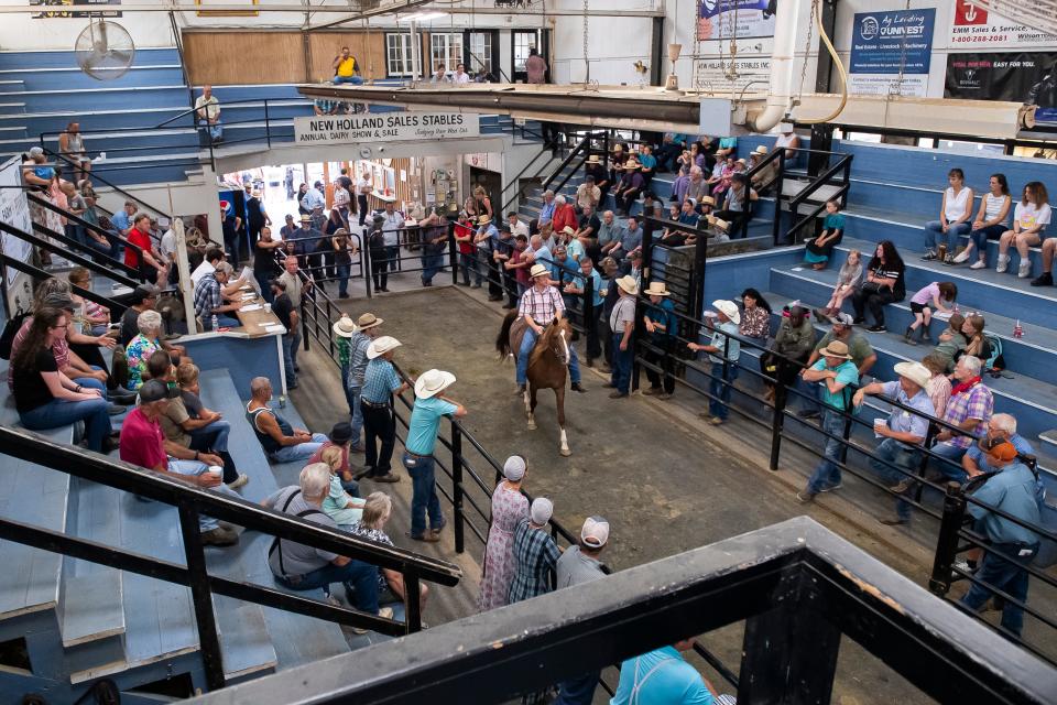 A rider shows off a horse during a Monday morning auction at New Holland Sales Stables on July 25, 2022, in Lancaster County.