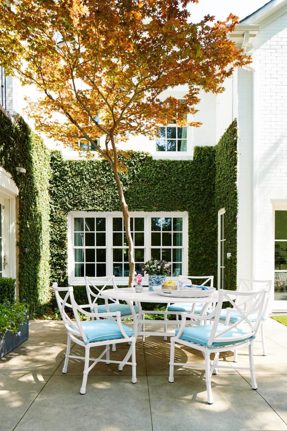 Amy Berry Designed Dallas Home Back Patio with Climbing Ivy