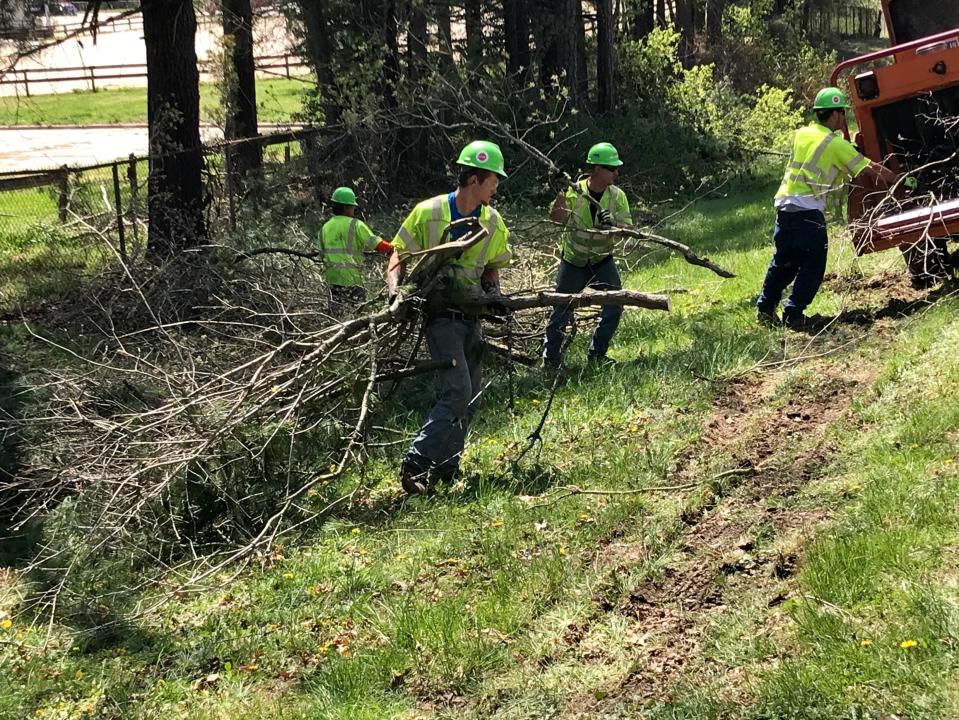 In this file photo, a tree crew clears and grinds limbs along Fanning Bridge Road in Fletcher. Duke Energy says it is proactive in trimming trees that pose a threat to power lines. Falling limbs can cause outages, including some that are very brief.