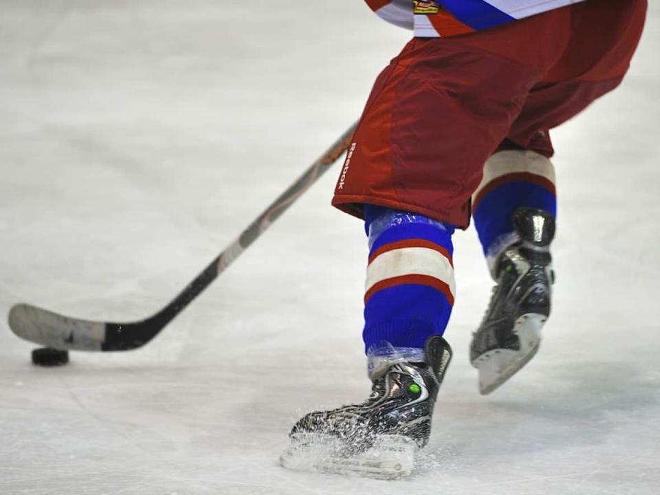 Parents and coaches of a boys hockey team in Surrey, B.C., are alleging their players were tageted with racial slurs.  (PhotoStock10/Shutterstock - image credit)