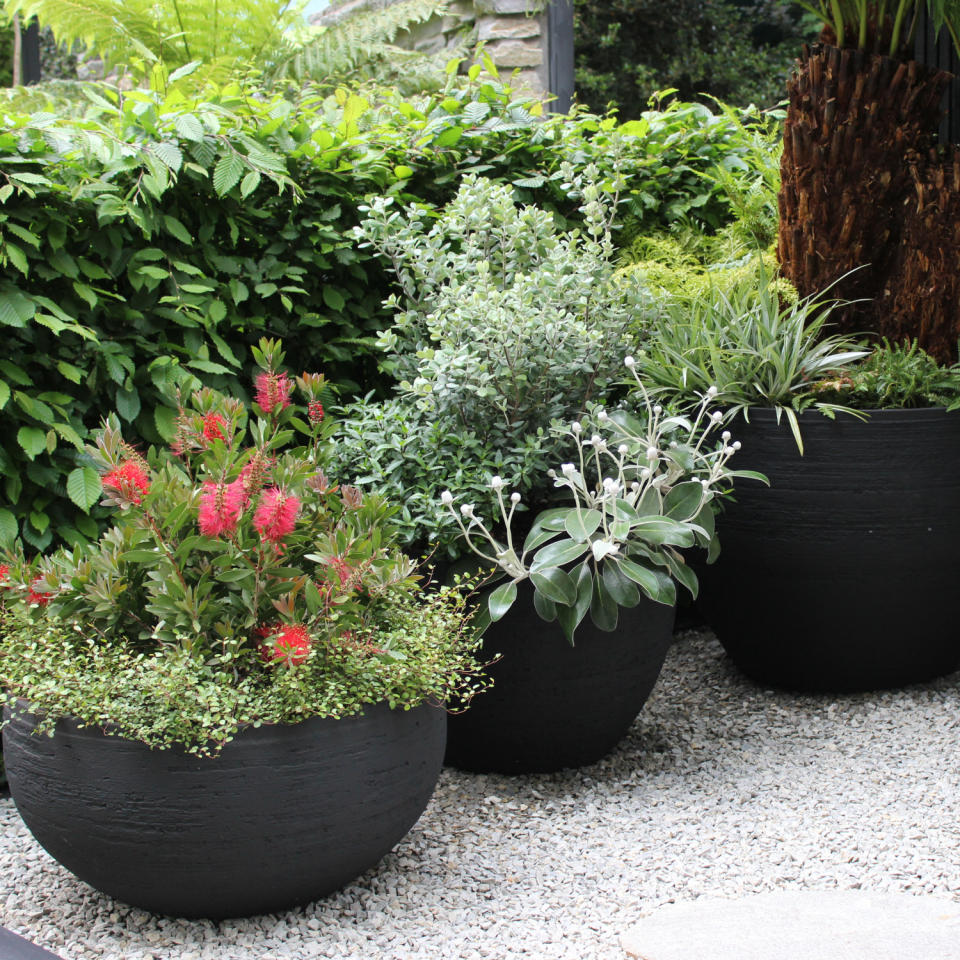 container gardening