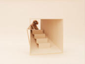 A short teacup poodle isn’t likely to come face-to-face with its master, unless it has the D-tunnel, created by designer Kenya Hara. “When the dog runs up the stairs, he ends up at just the right height to be face-to-face with a person,” says the designer. (Photo by Hiroshi Yoda / <a href="http://www.architecturefordogs.com/" rel="nofollow noopener" target="_blank" data-ylk="slk:Architecture for Dogs;elm:context_link;itc:0;sec:content-canvas" class="link ">Architecture for Dogs</a>)