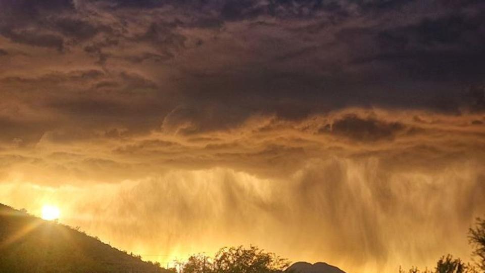 <div>When it rains, it pours! Thanks to Stephanie Meier for this photo from Cave Creek!</div>