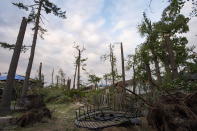 <p>Trees uprooted and damaged by a tornado are seen in a backyard in the Arlington Woods neighbourhood of Ottawa, on Sunday, Sept. 23, 2018. The storm tore roofs off of homes, overturned cars and felled power lines in the Ottawa community of Dunrobin and in Gatineau, Que. A second tornado also hit the Nepean neighbourhood of Arlington Woods. (Photo from Justin Tang/The Canadian Press) </p>