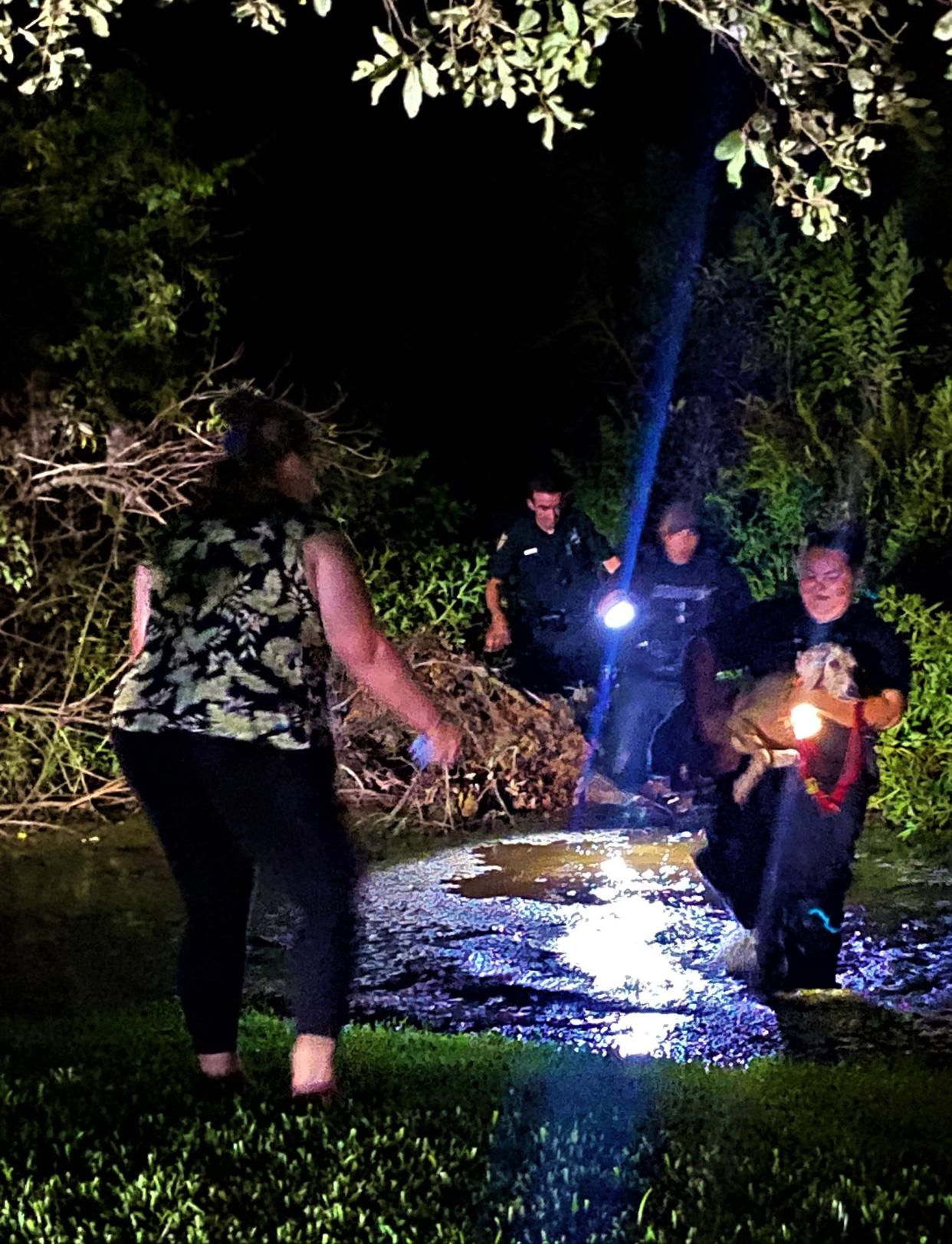 Lake County Sheriff's Deputies and Lake County Animal Control rescue a local dog from alligators.