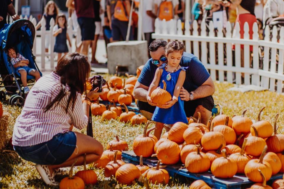 The Boca Raton Pumpkin Patch Festival will held Oct. 13, 14 and 15 and will feature rides, food vendors, drinks, games and hordes of those glorious gourds.