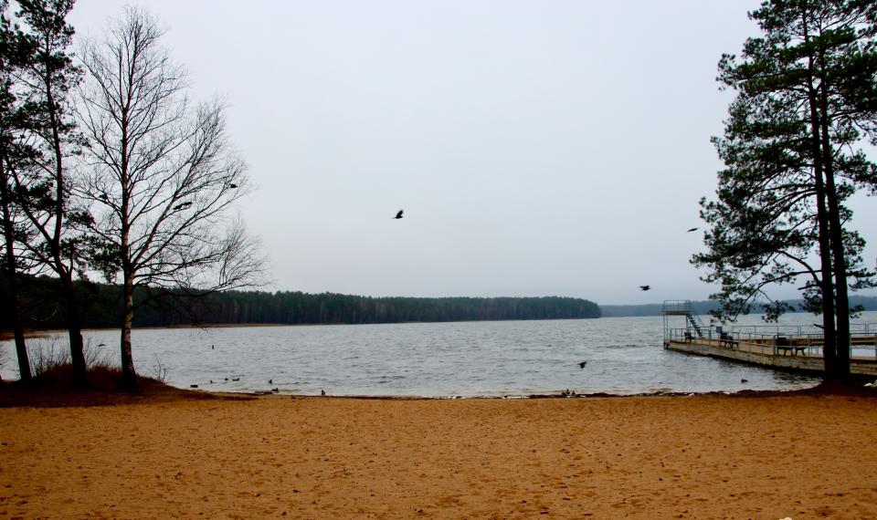 Lake Visaginas in Lithuania on Nov. 29, 2019. | Madeline Roache for TIME