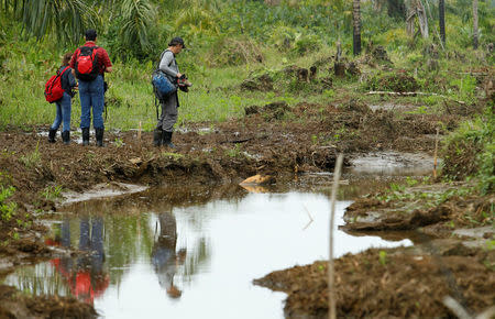 FILE PHOTO: Three representatives of the Ramsar Convention on Wetlands look for environmental damage on Isla Portillos, a 16-square-km swath of Caribbean wetland at the center of a dispute between Costa Rica and Nicaragua April 5, 2011. REUTERS/Juan Carlos Ulate/File Photo