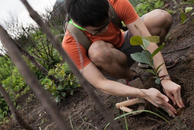 【最新活動】百萬森林計劃植樹日