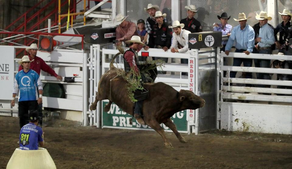 T. Parker of Winnie, TX, competes in the extreme bulls on Wednesday evening. /// The Extreme Bulls and Barrels kick off the 75th Annual Redding Rodeo on Wednesday May 17th. /// (Photo by Hung T. Vu/Special to the Record Searchlight)