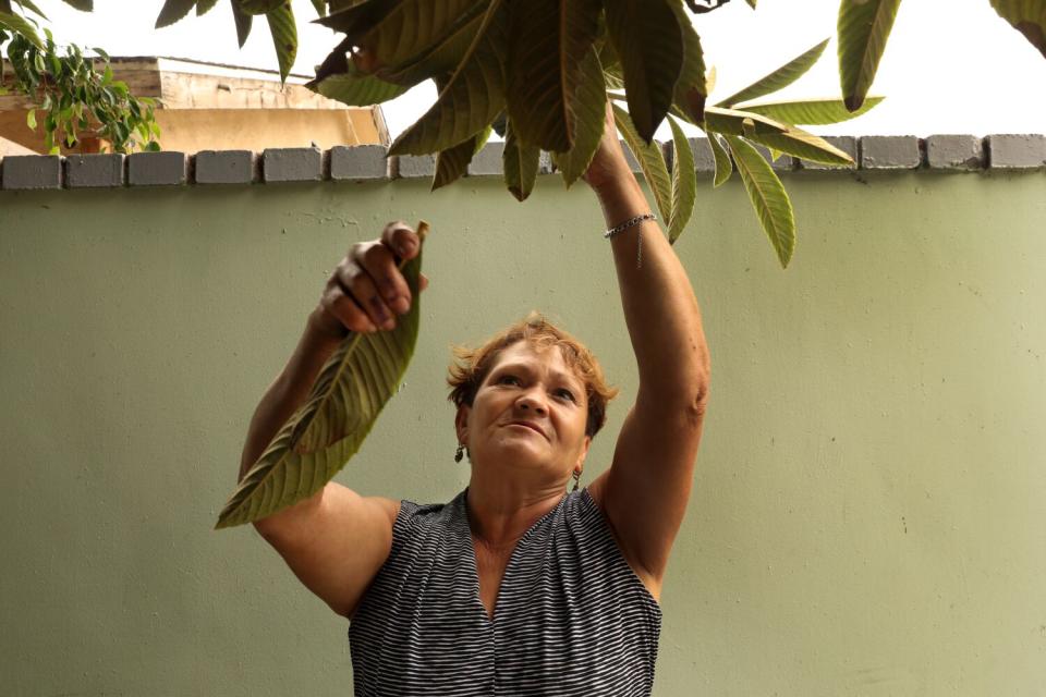 Maria Gonzalez helps others with their plots at Stanford Avalon Community Garden in Watts.