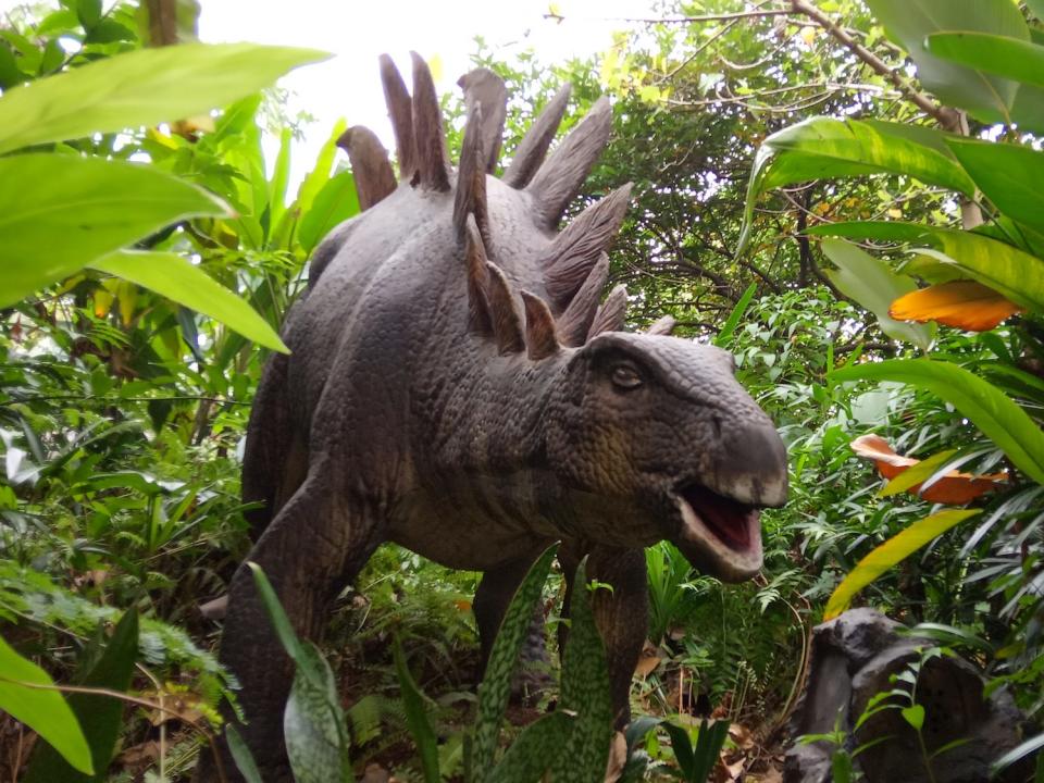 15 June 2019, Taman Legenda, TMII, East Jakarta, Indonesia, Robot of Stegosaurus, Herbivore dinosaur, from north america at artificial forest - Image