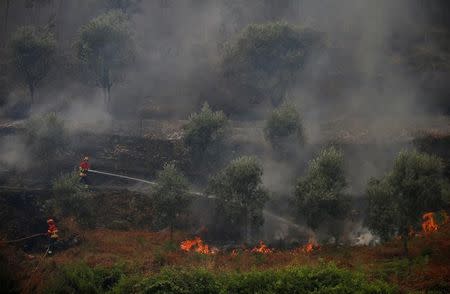 Firefighters work to put out a forest fire in the village of Capelo, near Gois, Portugal June 21, 2017. REUTERS/Rafael Marchante