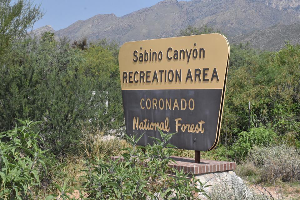 Sabino Canyon is a popular hiking area in Tucson at the base of the Santa Catalina Mountains.