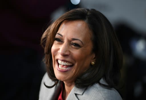 US Senator Kamala Harris, one of the most high-profile Democratic candidates to drop out of the race, launched her presidential bid to great fanfare in January 2019, but her campaign faltered over the next several months