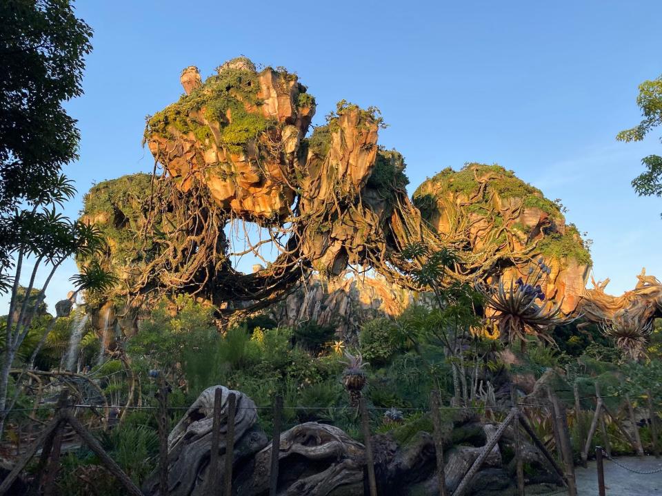A view of Animal Kingdom's Pandora — The World of Avatar section.