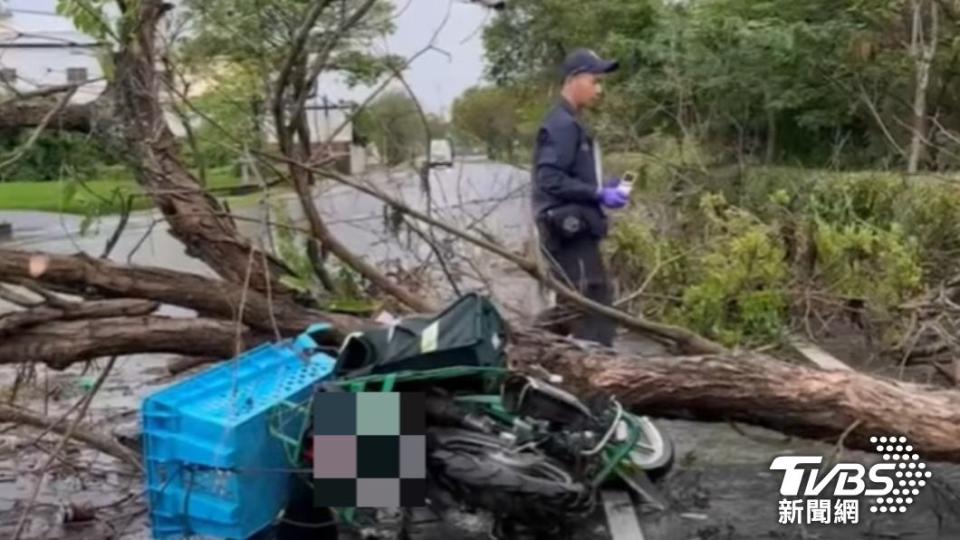 彰化郵差不幸被倒塌路樹砸死。（圖／TVBS）