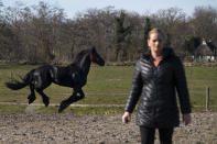 A Friesian stallion runs past Sarina Renz during feeding time for the stranded animals of the Renz Circus in Drachten, northern Netherlands, Tuesday, March 31, 2020. The circus fleet of blue, red and yellow trucks have had a fresh lick of paint over the winter. But now, as coronavirus measures shut down the entertainment industry across Europe, they have no place to go. "It's catastrophic for everybody", said Sarina Renz, of the German family circus that has been in existence since 1842. (AP Photo/Peter Dejong)