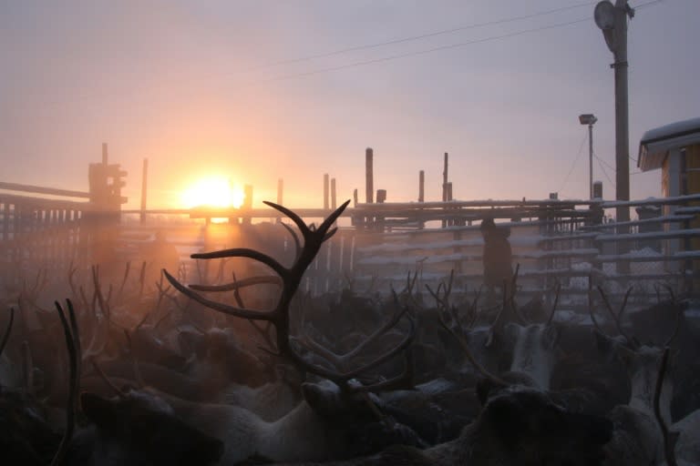 A common threat for the polar circle communities is melting sea ice and the thawing of the permafrost that covers a quarter of the northern hemisphere