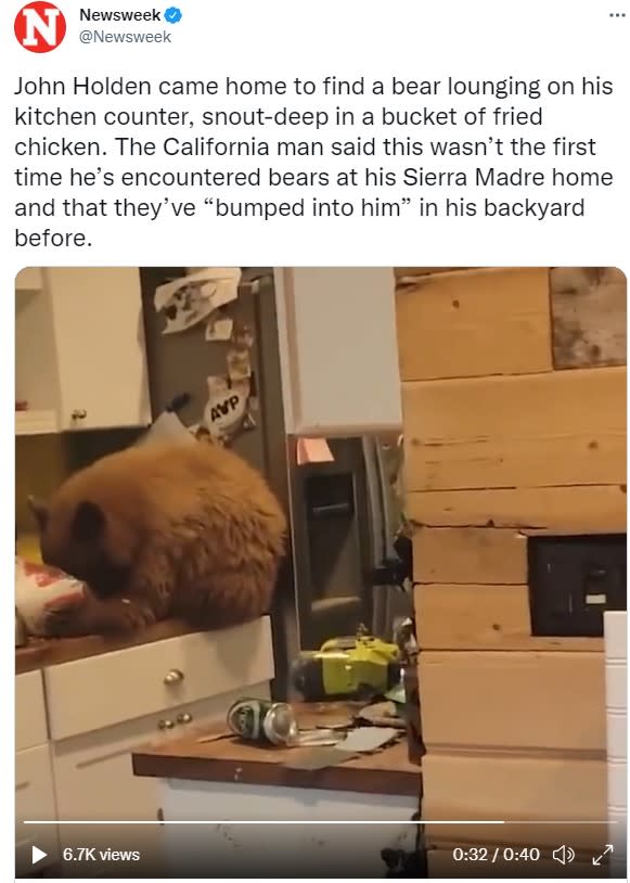 這隻熊還把該名男子的家裡搞得一團亂。（圖／翻攝自推特@Newsweek）